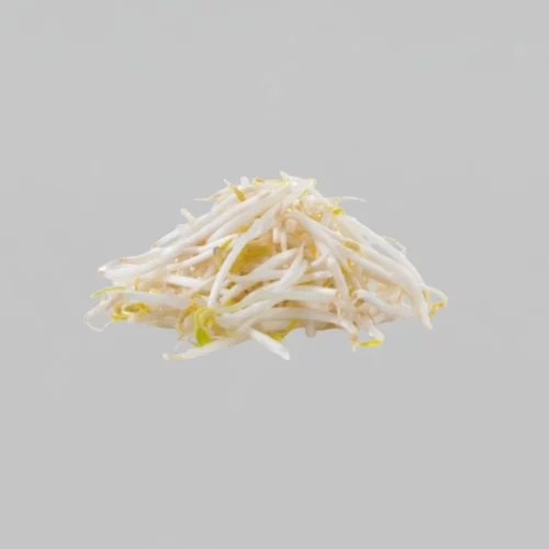 POUSSE DE SOJA (300gr)