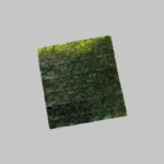 FEUILLES D'ALGUES 10 FEUILLES