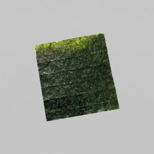 FEUILLES D'ALGUES 10 FEUILLES