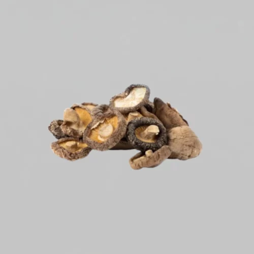 CHAMPIGNONS SHITAKE
